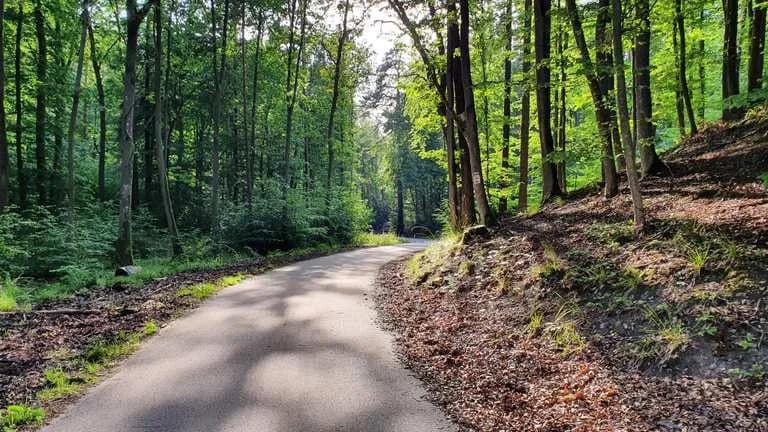 Najlepsze trasy rowerowe w Gdańsku, które musisz poznać i przejechać