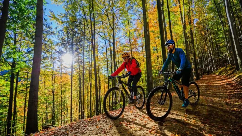 Najlepsze trasy rowerowe w Tleniu - odkryj ukryte skarby szlaków