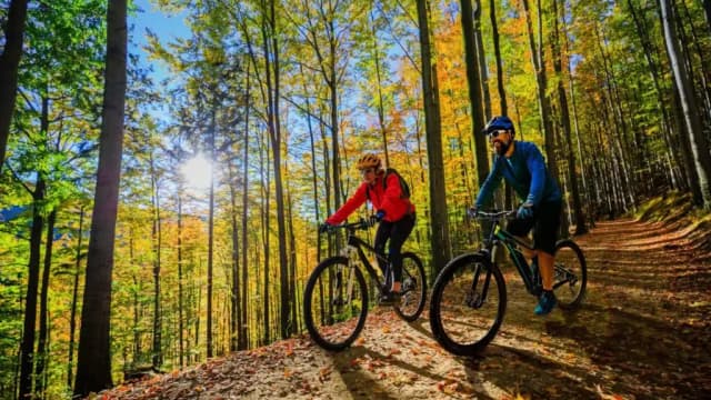 Najlepsze trasy rowerowe w Tleniu - odkryj ukryte skarby szlaków